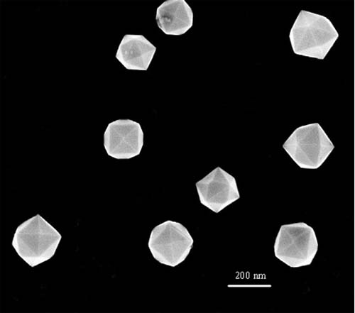 (Nanocristales de platino de 24 facetas.) (Foto: GIT)