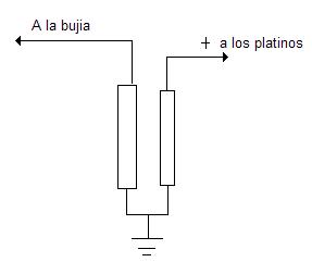 Bibina de alta.JPG