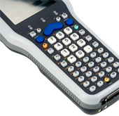 ck31_06.jpg