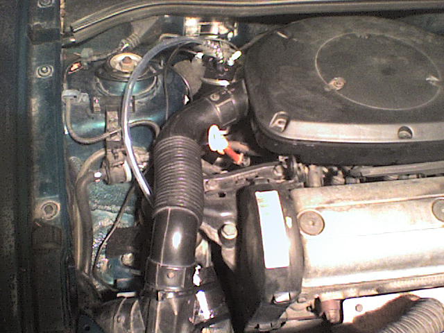 DSC00017.JPG