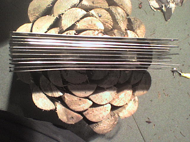 DSC00020.JPG